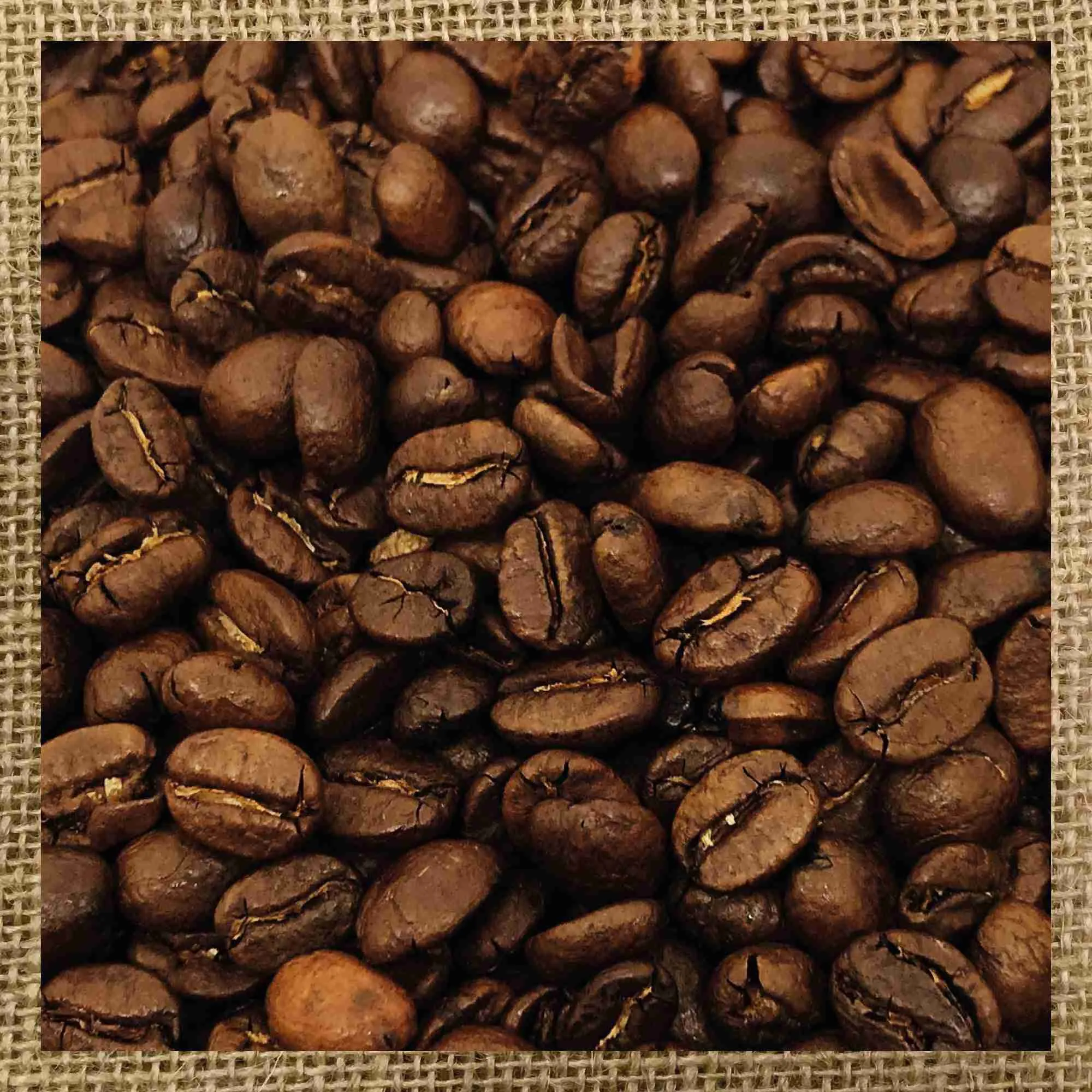 Caffè Fengmi Dragon China Yunnan – 100% arabica